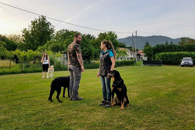 Obbedienza di gruppo - Dog Academy Italia, Addestramento cani Varese