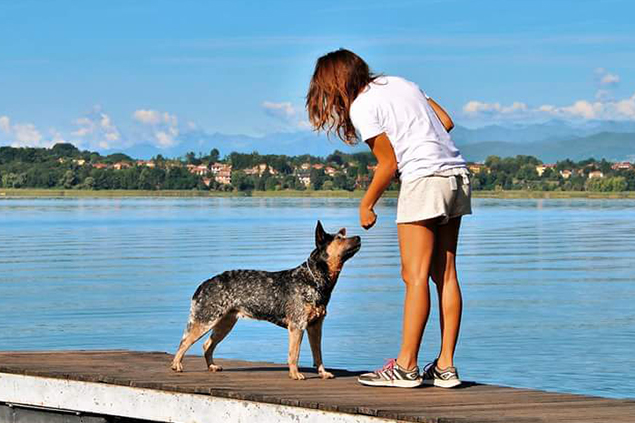 Handling - Dog Academy Italia, Addestramento cani Varese