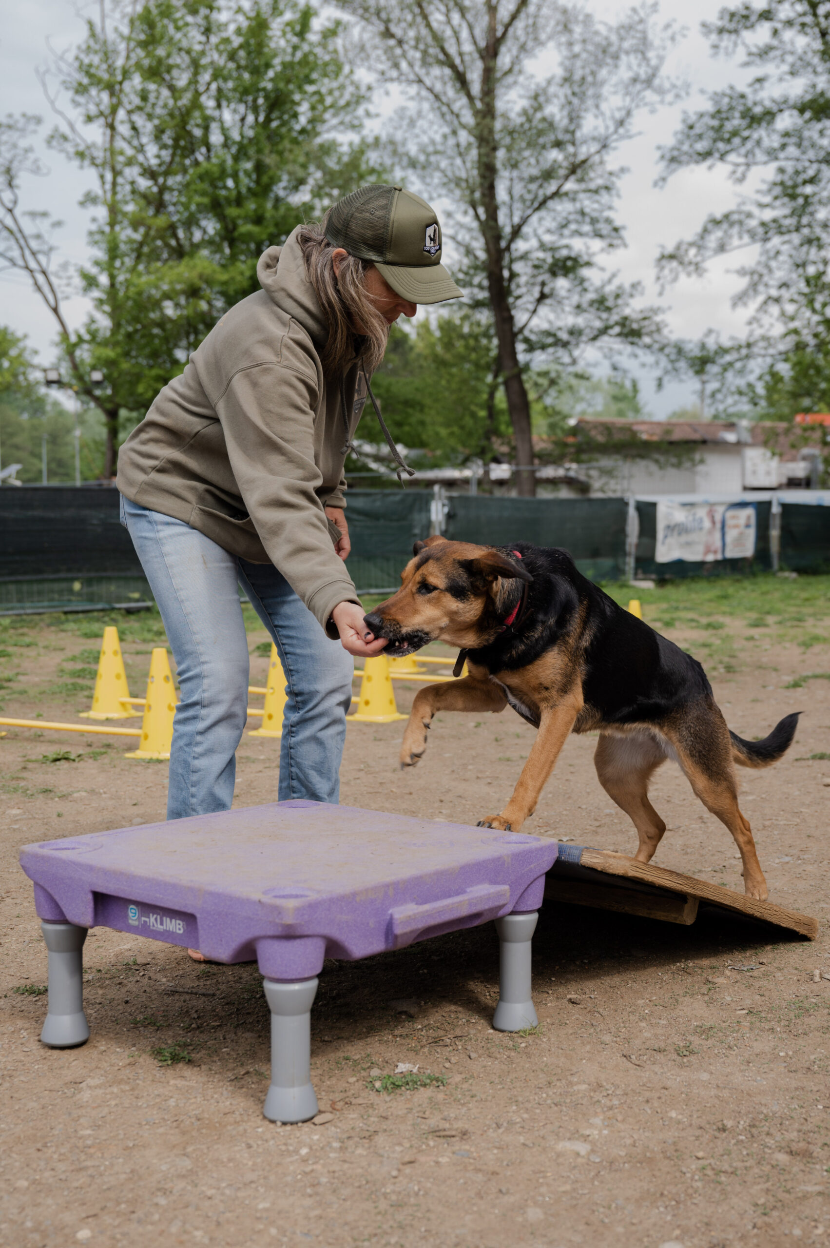 Dog Academy Festival